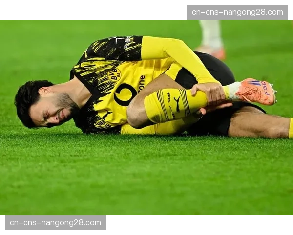 多特蒙德俱乐部举办“足球包容日”活动，邀请特殊需求儿童入场观赛